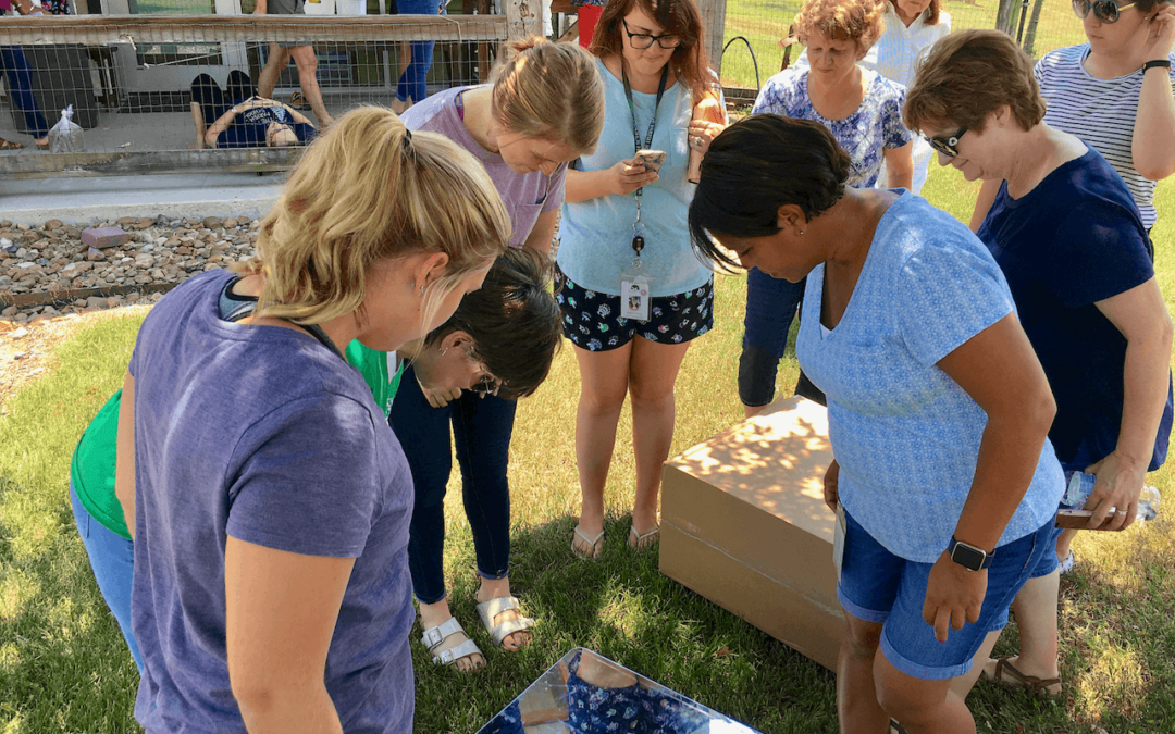 Making Sense of the Reggio Approach in the United States in 2024