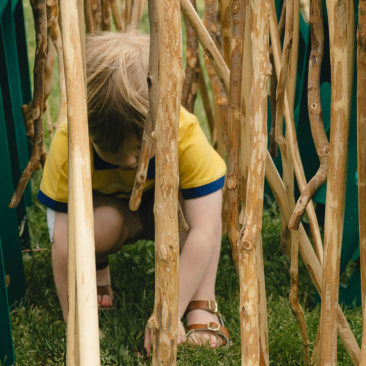 Making Sense of the Reggio Emilia Pedagogical Approach - Professional Development for Early Childhood Educators